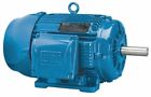 01018et3e215t-w22 Weg General Purpose Motor