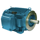 01018et3e215tc-w22 Weg General Purpose Motor