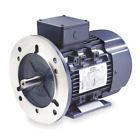 192203.30 192203.00 Leeson Premium Efficiency Metric 192203.30 192203.00 Leeson Premium Efficiency Metric