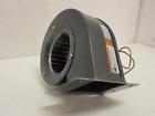 169576 1tdp6 Dayton Old-stock Specialty