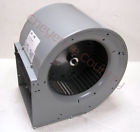 6blr12fnp Wom Dayton Squirrel Cage Exhaust Fan Blower Ventilation Without Motor