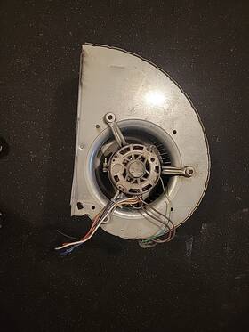 340aav036060aasa Bryant Blower Motor Assembly