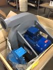 S-2659ct-he Witt Alldays Peacock Fan