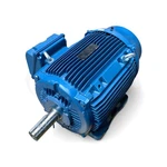 06018ET3E364T-W22 Weg 60HP Severe Duty Electric Motor, 1800RPM. Fixed Price $4499.97.