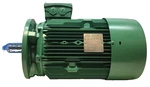 Nidec Leroy-somer LSES132MU Ac Motor 7.5KW, 4-POLE, 3PH (F5). Fixed Price $1200.00.