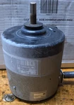 Armstrong DMUA042T02TX Condenser Motor D155933P01 230V 1/3HP #48. Fixed Price $189.99.