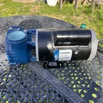 Aqua-flo Gecko Maelstrom Spa Pump MS-1-V26-3.0-2 3.0HP 230V 2-SPEED Hot Tub. Fixed Price $212.49.