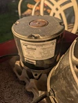 120V Motors 1/7 Hp New Wayne Combustion Systems. Fixed Price $100.00.