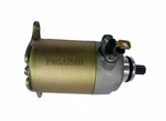 Genuine Pagaishi Starter Motor For Benzhou YY125T-5C 2008 2013. Fixed Price $38.95.