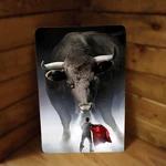 Stock Market Theme "big Bull" With Matador Business Suit Metal Poster 12"X8". Fixed Price $13.99.