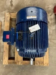 Marathon Electric Blue Chip 40 Hp Marine Duty. Fixed Price $2500.00.