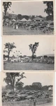Rare - 3 Photos Ferris Wheel Ride Carnival Fair Cars 1915 Angelica Ny. Fixed Price $124.00.