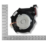 Navien 30000405A 120V Fan Motor. Fixed Price $132.55.