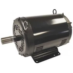 Chicago Pneumatic 1312101600 Motor, Hp, 208-230/460V, 1725 Rpm. Fixed Price $1046.99.