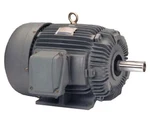 Teco EP0306 Hp 1175 Rpm 326T Tefc 3-PHASE Industrial Motor New!. Fixed Price $1900.00.