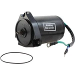 Romaine Electric 10812N Engine Tilt Motor V, Reversible, Wire. Fixed Price $138.90.