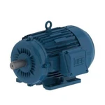 Weg 11568650 3HP 460//220-240/380-415V Electric Motor. Fixed Price $138.57.