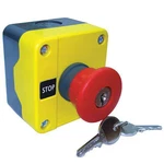 Dayton 32W276 Control Station, 4, 4X, Key Release. Fixed Price $46.29.