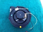 Goodman 0171M00000 Fasco 70582108 Draft Inducer Motor 0171M00001. Fixed Price $47.50.