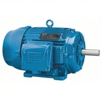 Weg 00112ET3H145T-W22 1HP 1160 Rpm 3PH 575V Tefc General Purpose Motor. Fixed Price $350.00.