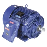 Marathon 324TSTGS6501 Hazardous Loc Mtr, Ph, Tefc, 40 Hp, T3B. Fixed Price $5996.99.