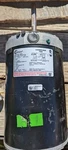 New Century H696V1 1140 Teao 56 3-PHASE Condenser Fan Motor (RA2D). Fixed Price $498.00.