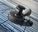 Fasco 7058-0217 Lennox 60M7901 Furnace Draft Inducer Motor Used #MD154. Fixed Price $54.40.