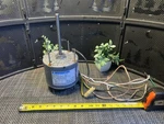 New Marathon Electric Condenser Fan Motor All-angle Mounting-part No S88-157. Fixed Price $350.00.
