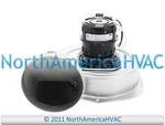 Oem Trane American Standard Furnace Draft Inducer Motor Fits BLW00572 BLW0572. Fixed Price $428.95.