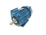 New Weg 00112ST3Q1E145T-W22 Motor 3HP 460V 1150 Rpm 00112ST3Q1E145TW22. Fixed Price $600.00.